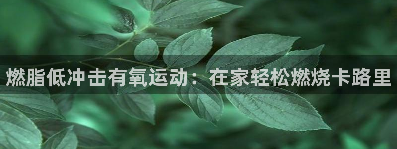 凯时kb88官网网址：燃脂低冲击有氧运动：在家轻松燃