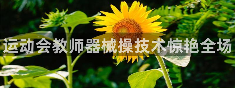 尊龙凯时ag旗舰厅官：运动会教师器械操技术惊艳全场