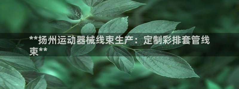 KB88凯时官网登录：**扬州运动器械线束生产：定制