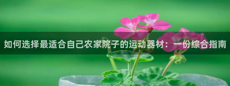 尊龙凯时网站是什么地方人开的：如何选择最适合自己农家