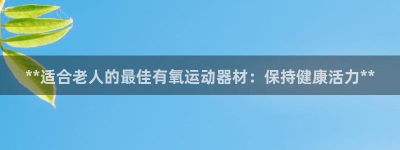 尊龙凯时登录：**适合老人的最佳有氧运动器材：保持健