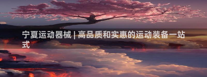 尊龙官方网站最新版V9.3.06：宁夏运动器械 | 